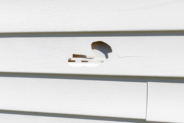 Best Custom Siding Design  in Camden, AL