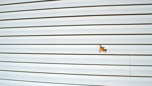 Best Custom Trim and Detailing for Siding  in Camden, AL