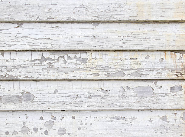 Best Siding for New Construction  in Camden, AL