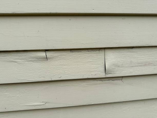 Best Weatherproofing and Sealing  in Camden, AL