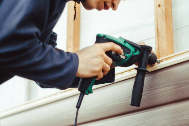 Best Steel Siding Installation  in Camden, AL